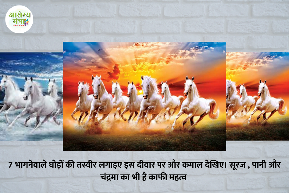 picture of 7 racing horses