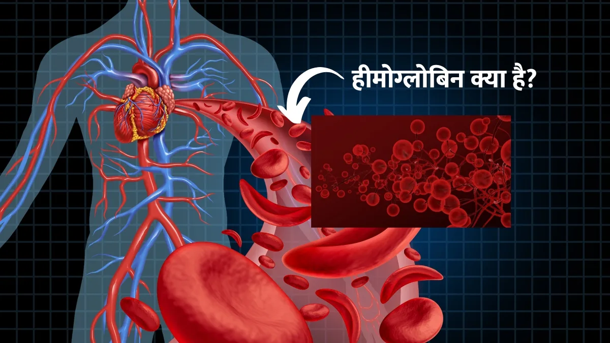 What is Hemoglobin?
